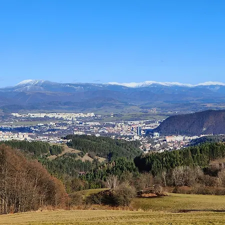Na Obraze *