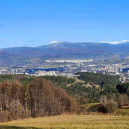 Na Obraze